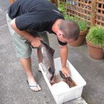 Img 0072 2